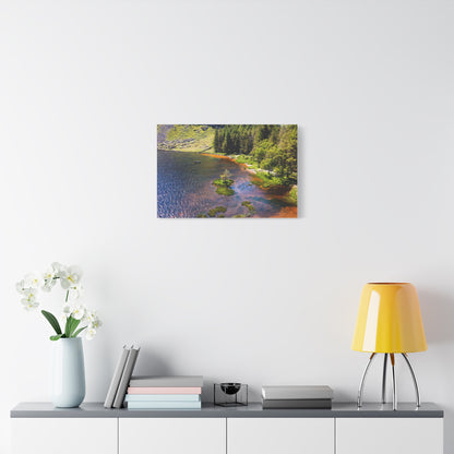 Gleanteenassig Forest Matte Canvas, Stretched, 1.25"