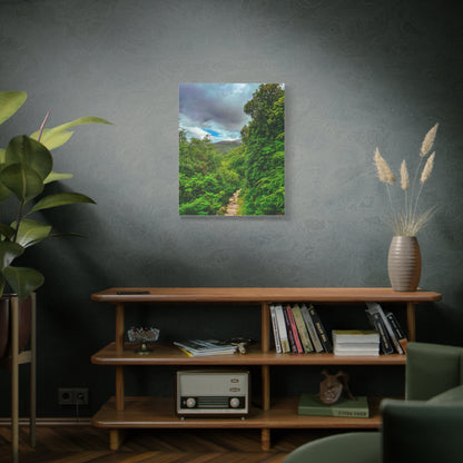 Torc Trail Matte Canvas, Stretched, 1.25"