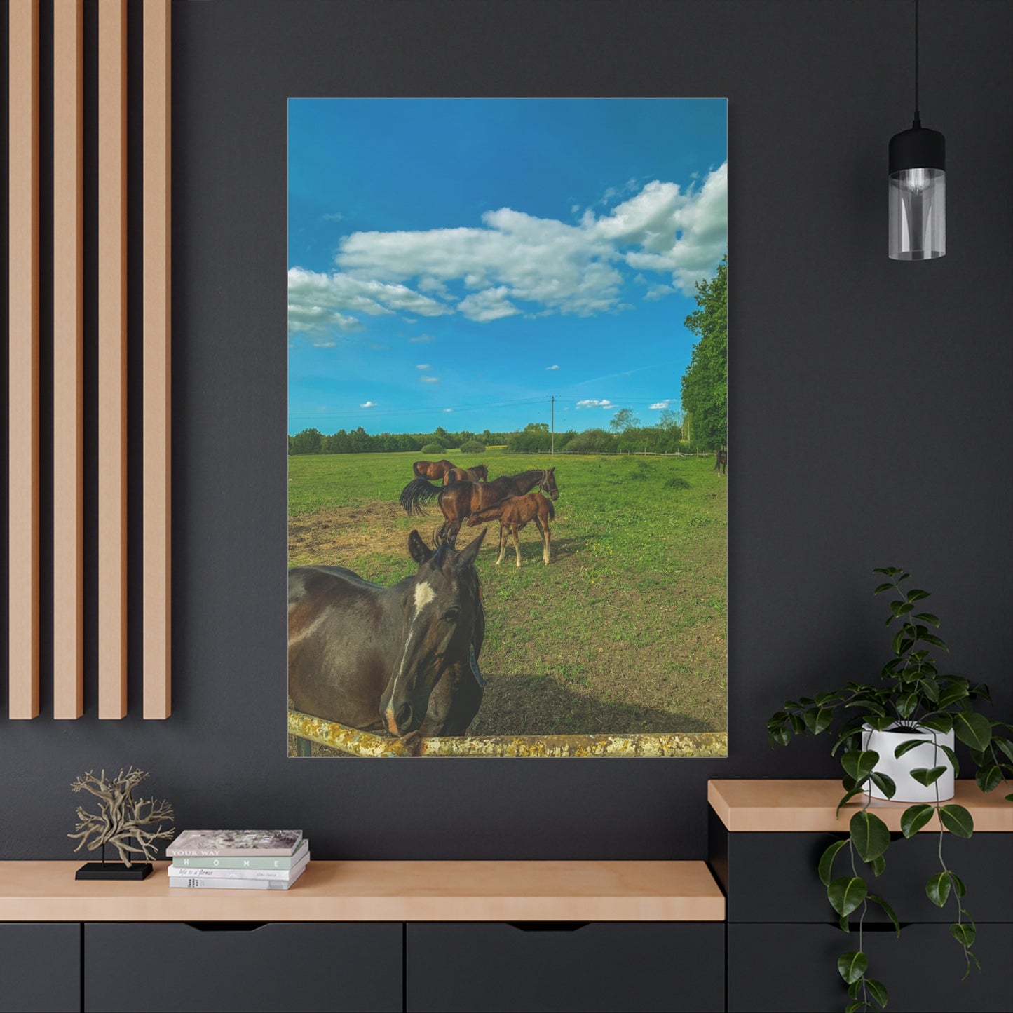 Horse Matte Canvas, Stretched, 1.25"