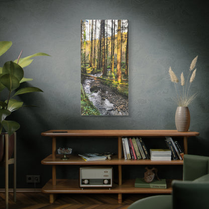 Glanageenty Forest Trail 2 Matte Canvas, Stretched, 1.25"