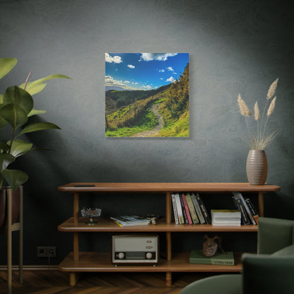 Glanageenty Forest Trail Matte Canvas, Stretched, 1.25"