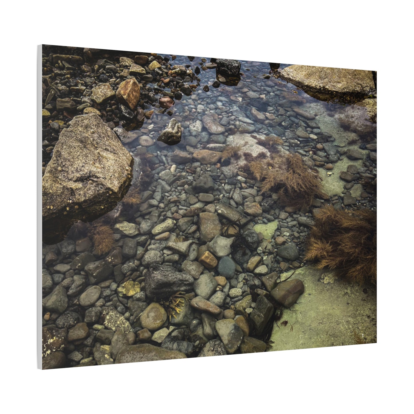 Rocks Matte Canvas, Stretched, 1.25"