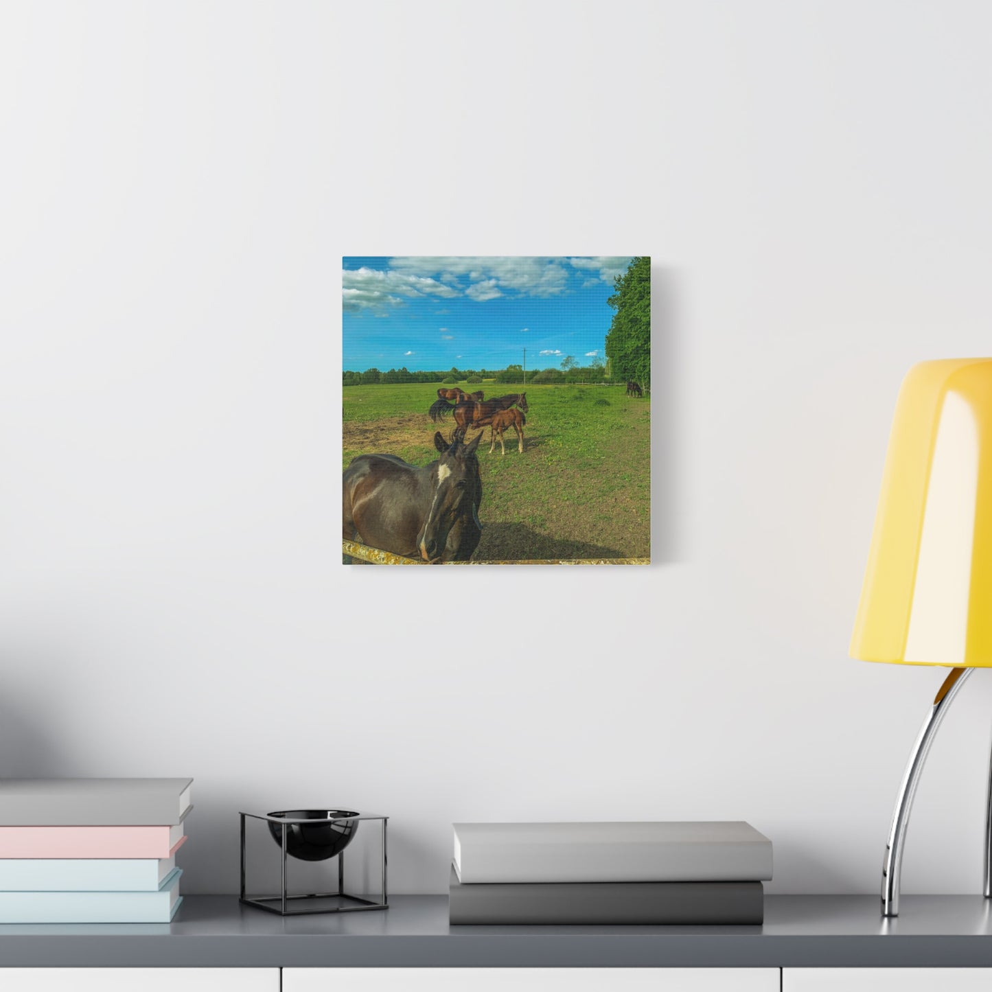 Horse Matte Canvas, Stretched, 1.25"