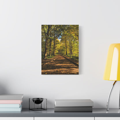Listowel Town Park Autumn Matte Canvas, Stretched, 1.25"