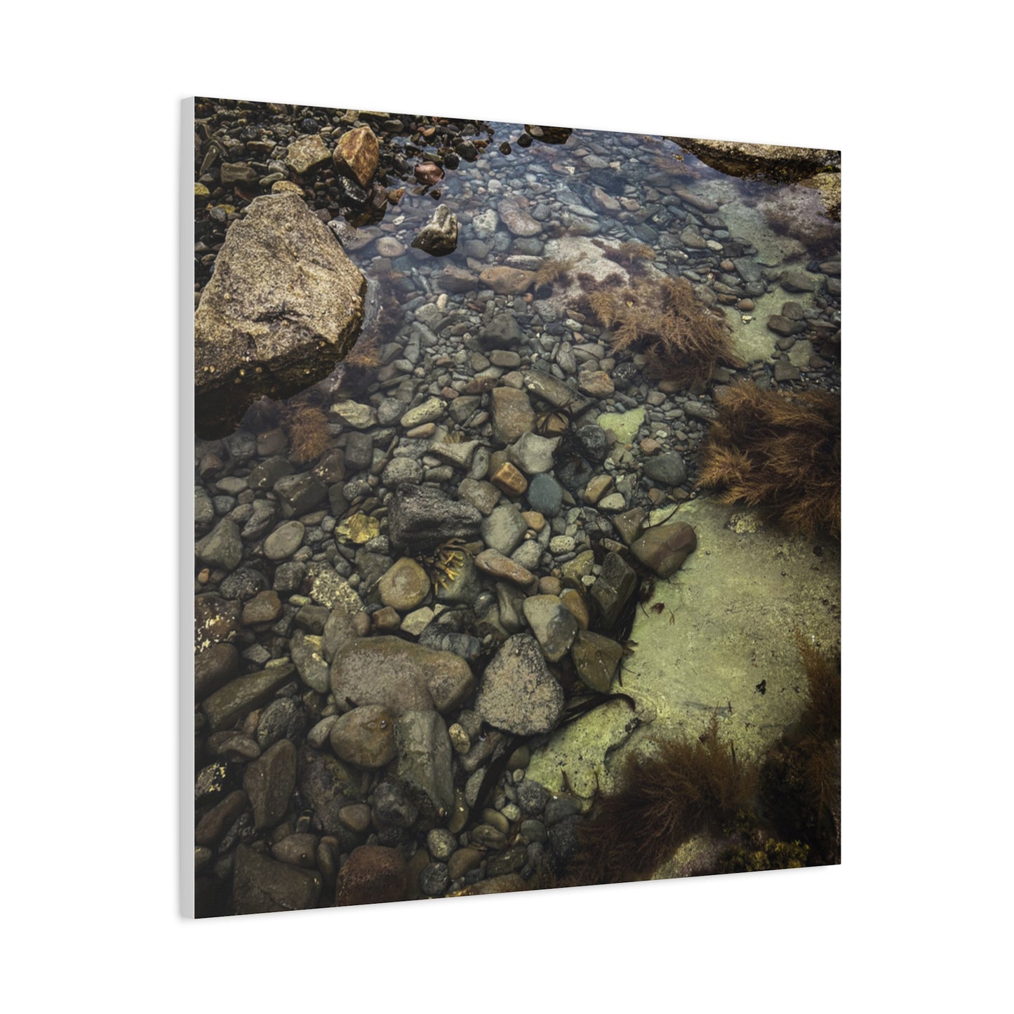 Rocks Matte Canvas, Stretched, 1.25"