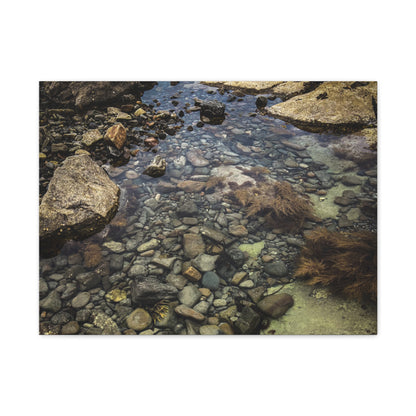 Rocks Matte Canvas, Stretched, 1.25"