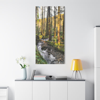 Glanageenty Forest Trail 2 Matte Canvas, Stretched, 1.25"