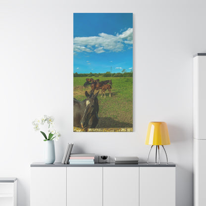 Horse Matte Canvas, Stretched, 1.25"