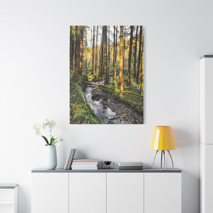 Glanageenty Forest Trail 2 Matte Canvas, Stretched, 1.25"
