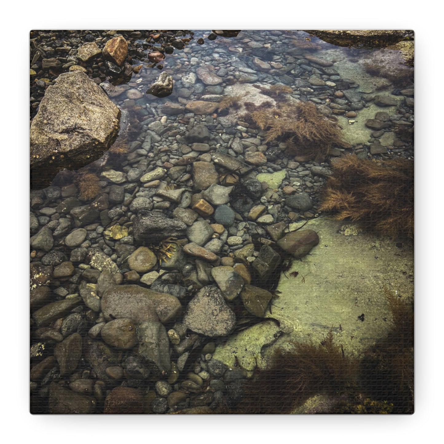 Rocks Matte Canvas, Stretched, 1.25"