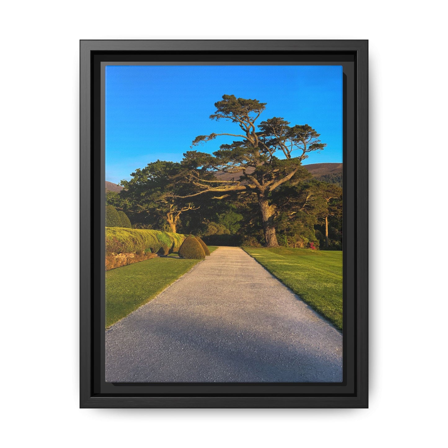 Muckross House Garden Matte Canvas, Framed (Multi-color)