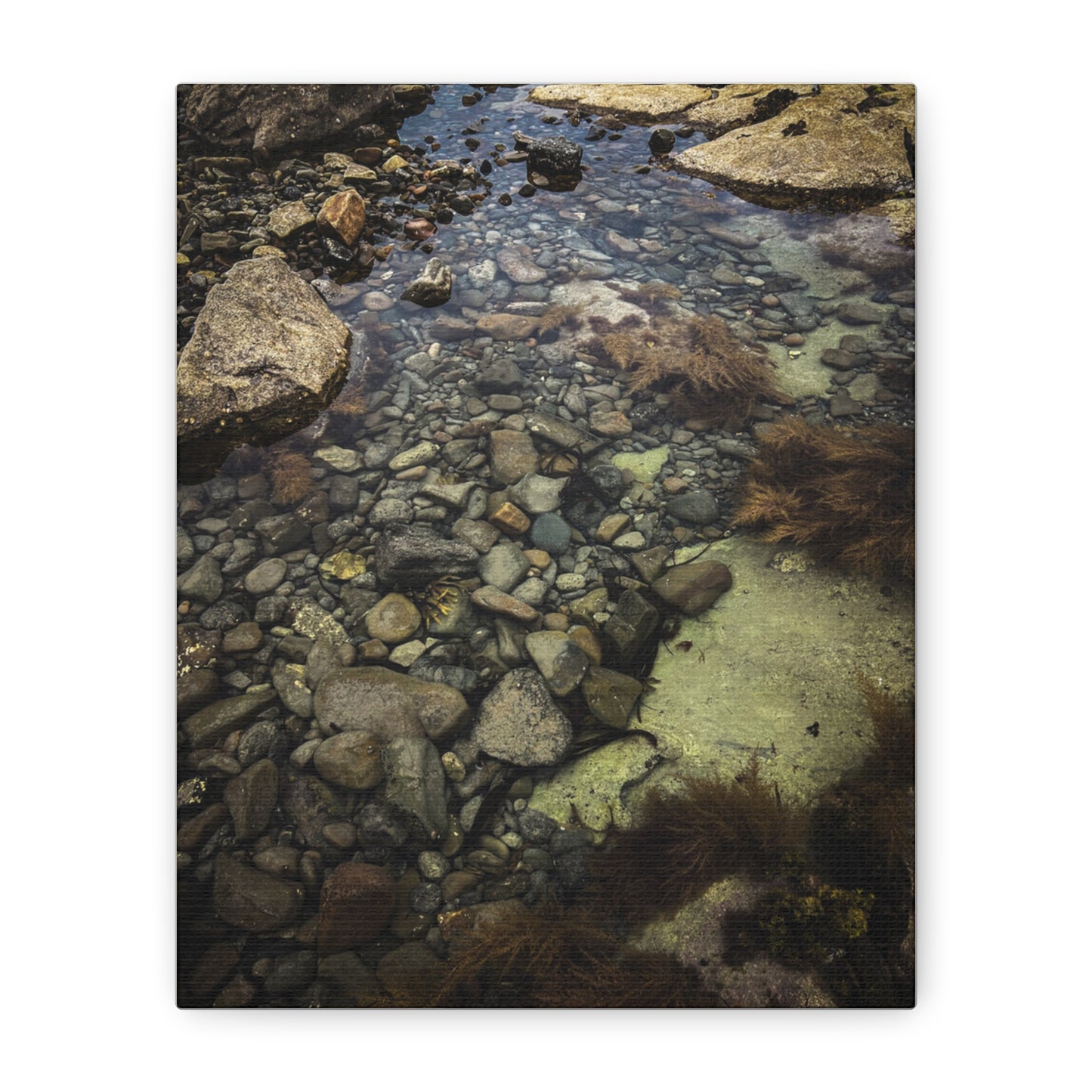 Rocks Matte Canvas, Stretched, 1.25"