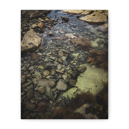 Rocks Matte Canvas, Stretched, 1.25"