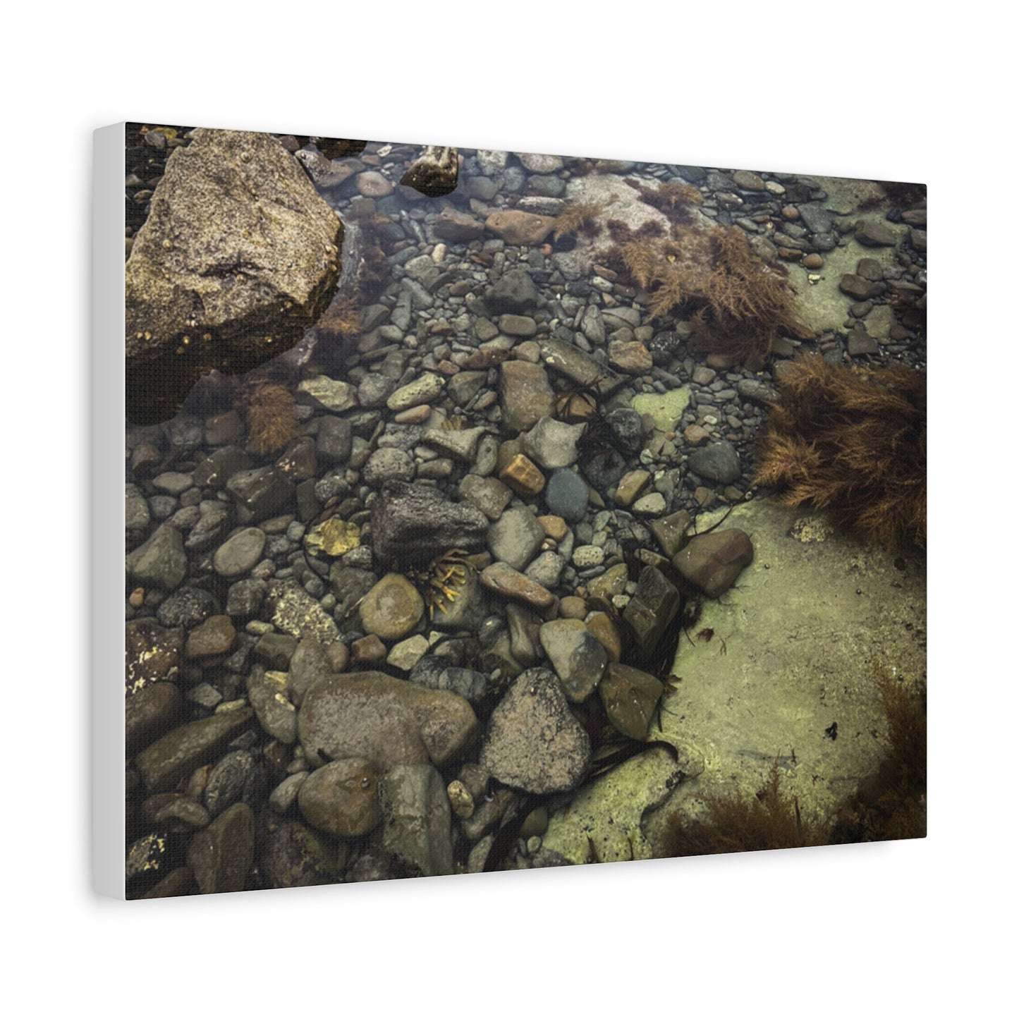 Rocks Matte Canvas, Stretched, 1.25"