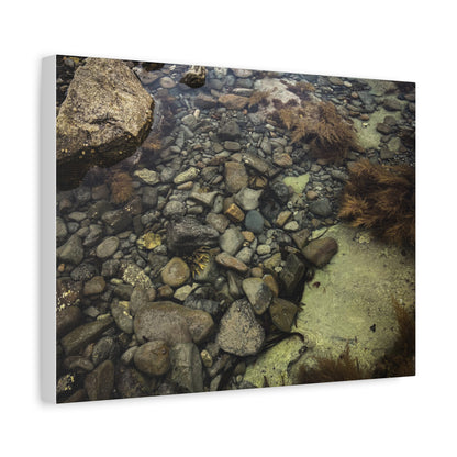 Rocks Matte Canvas, Stretched, 1.25"