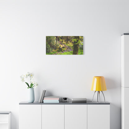Torc Trail Matte Canvas, Stretched, 1.25"