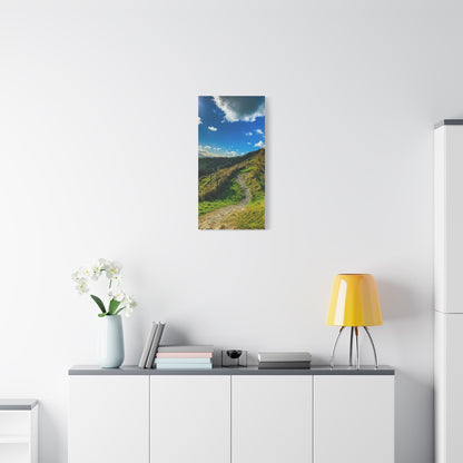 Glanageenty Forest Trail Matte Canvas, Stretched, 1.25"