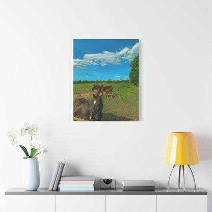 Horse Matte Canvas, Stretched, 1.25"