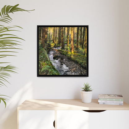 Glanageenty Forest Trail 2 Matte Canvas, Framed (Multi-color)