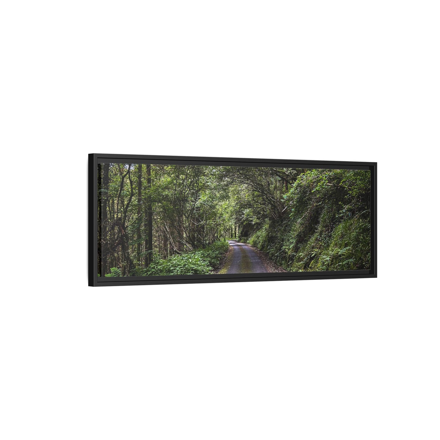 Glanageenty Forest Trail Matte Canvas, Framed (Multi-color)