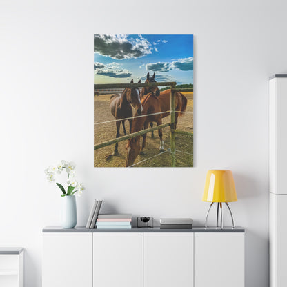 Horses Matte Canvas, Stretched, 1.25"