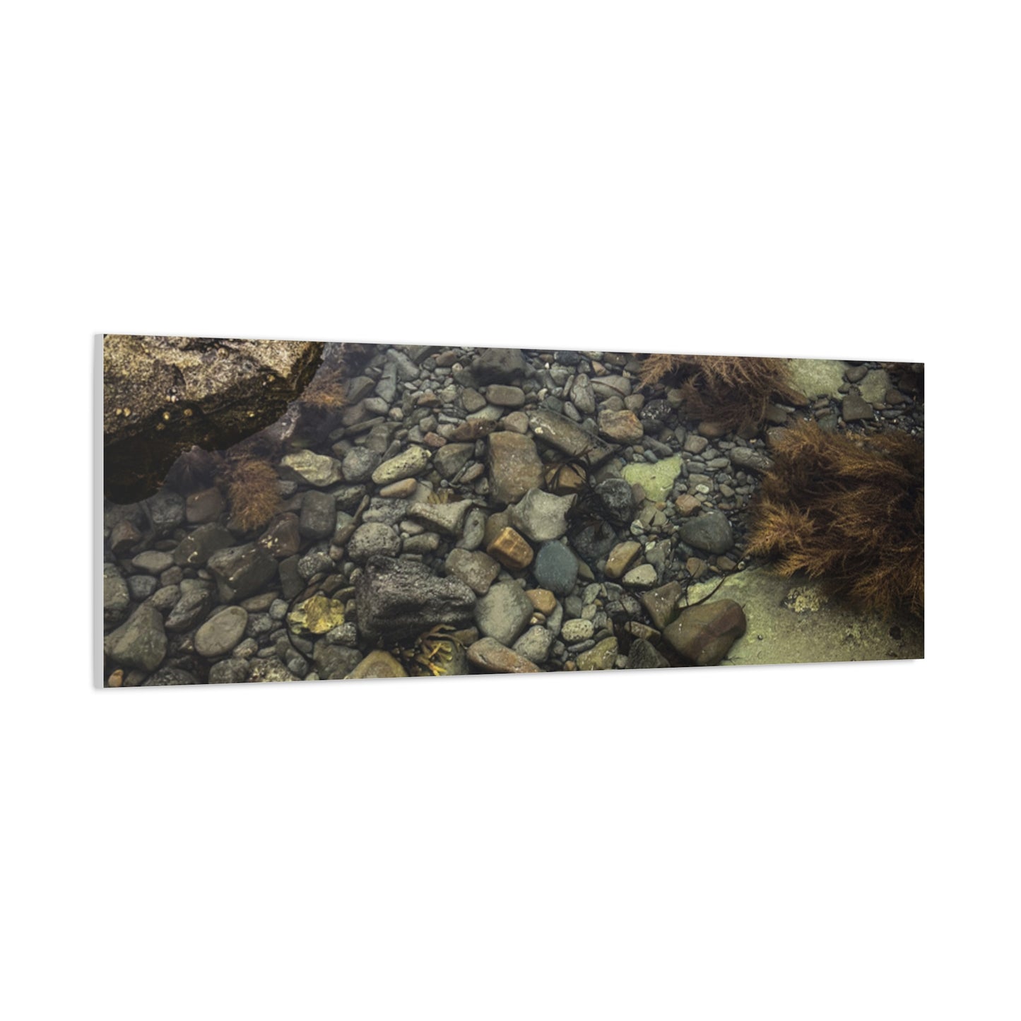 Rocks Matte Canvas, Stretched, 1.25"