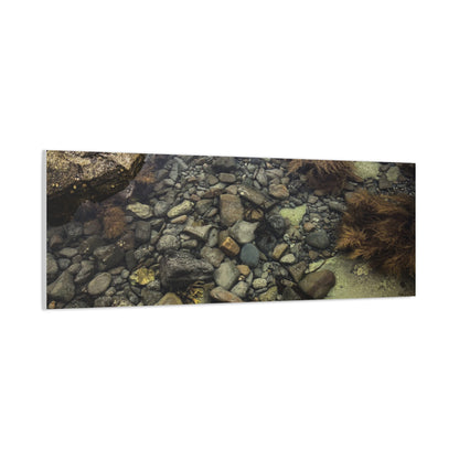 Rocks Matte Canvas, Stretched, 1.25"