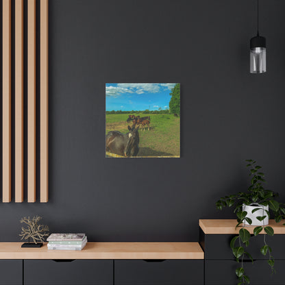 Horse Matte Canvas, Stretched, 1.25"