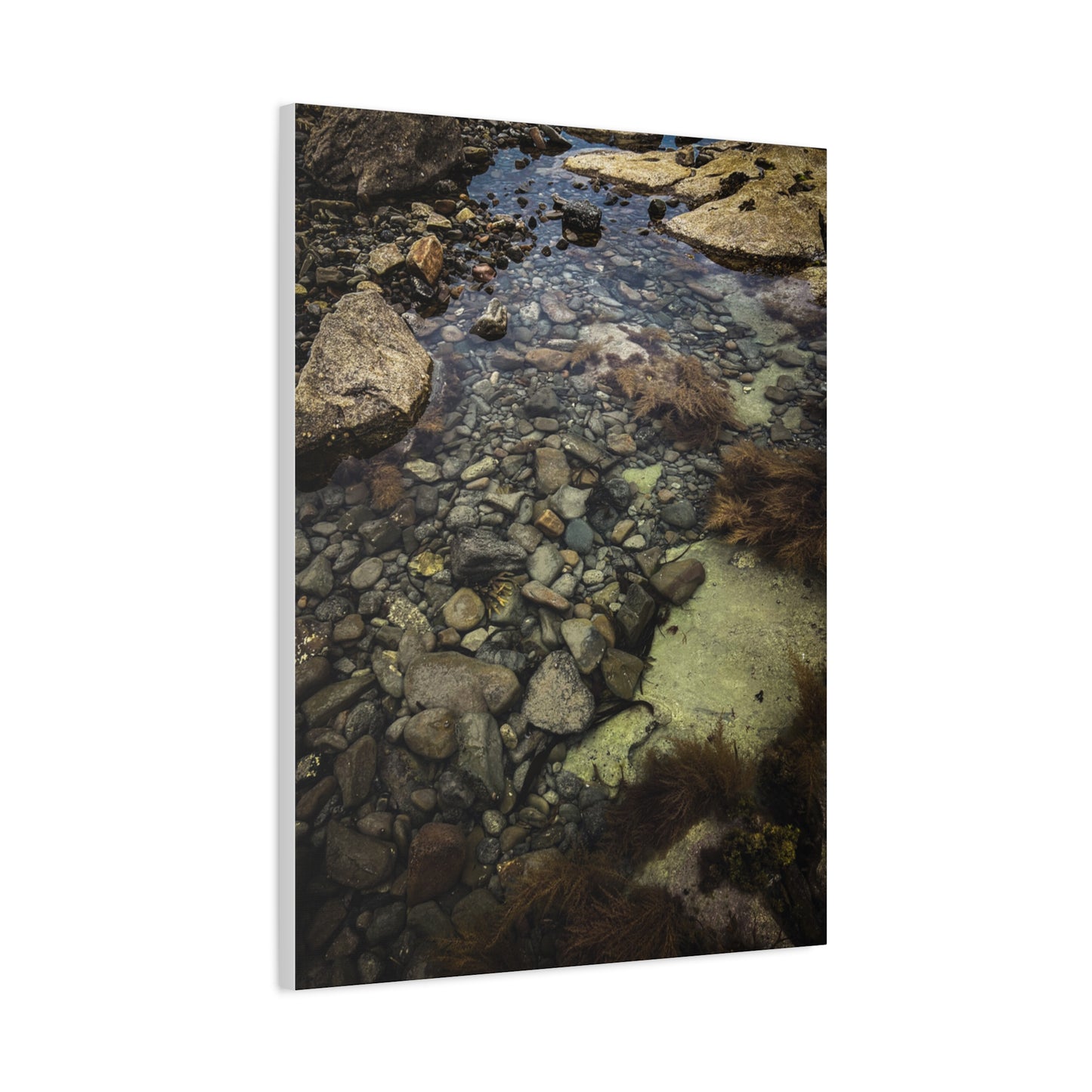 Rocks Matte Canvas, Stretched, 1.25"