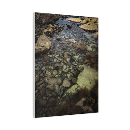 Rocks Matte Canvas, Stretched, 1.25"