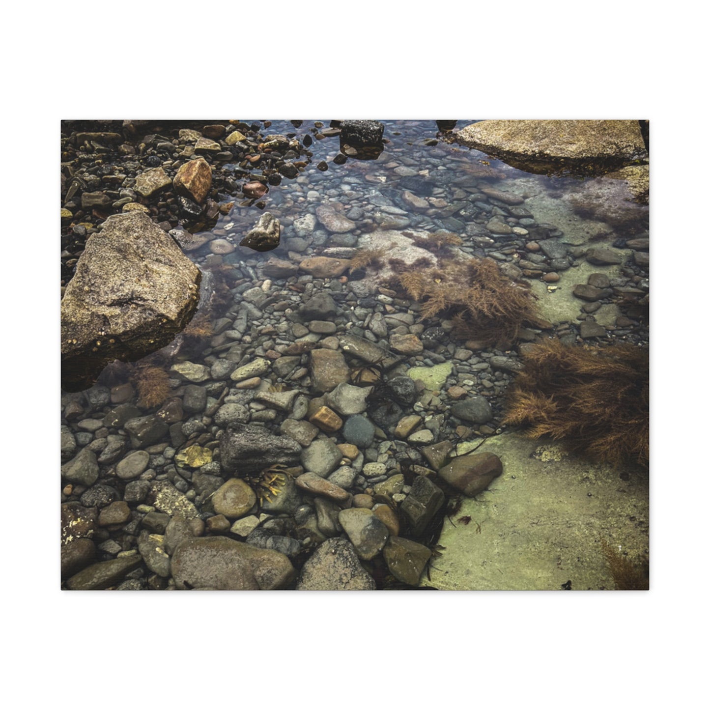 Rocks Matte Canvas, Stretched, 1.25"