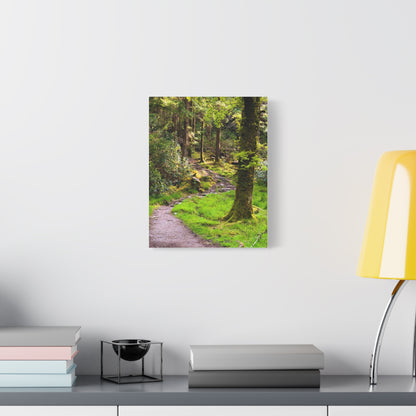 Torc Trail Matte Canvas, Stretched, 1.25"