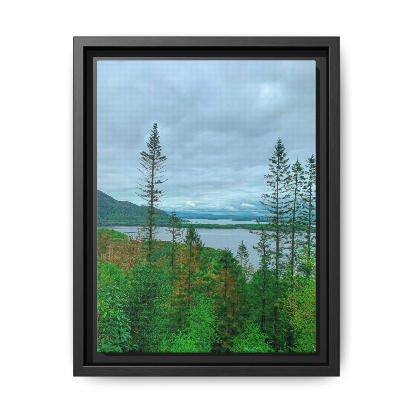 Torc Mountain Trail 2 Matte Canvas, Framed (Multi-color)