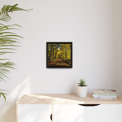 Listowel Town Park Autumn Matte Canvas, Framed (Multi-color)
