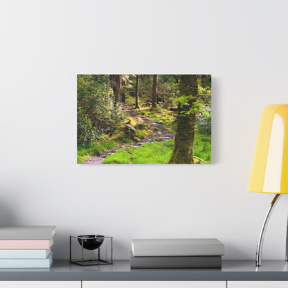 Torc Trail Matte Canvas, Stretched, 1.25"