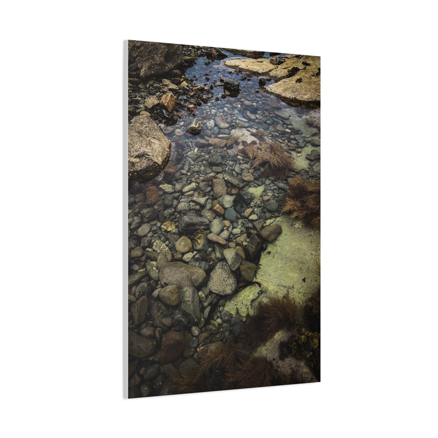 Rocks Matte Canvas, Stretched, 1.25"