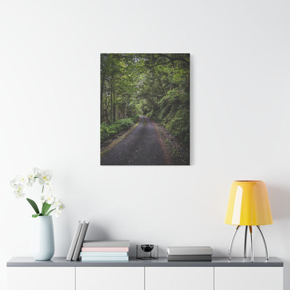 Glanageenty Forest Trail Matte Canvas, Stretched, 1.25"