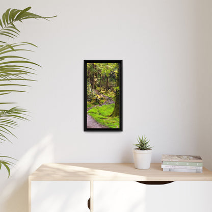 Torc Trail Matte Canvas, Framed (Multi-color)