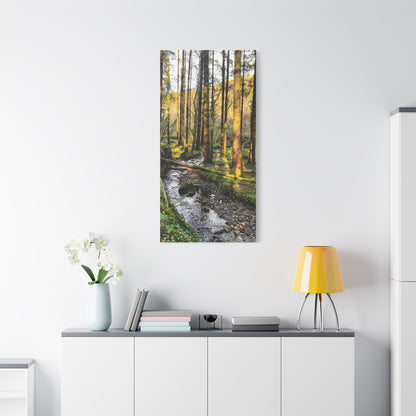 Glanageenty Forest Trail 2 Matte Canvas, Stretched, 1.25"