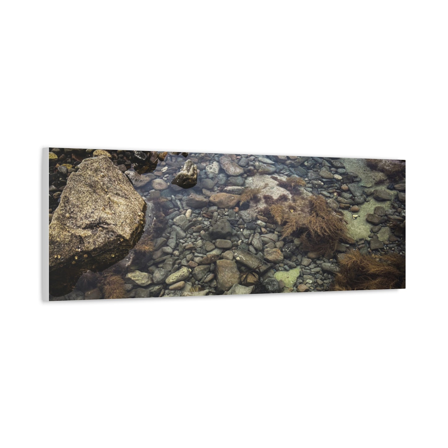 Rocks Matte Canvas, Stretched, 1.25"