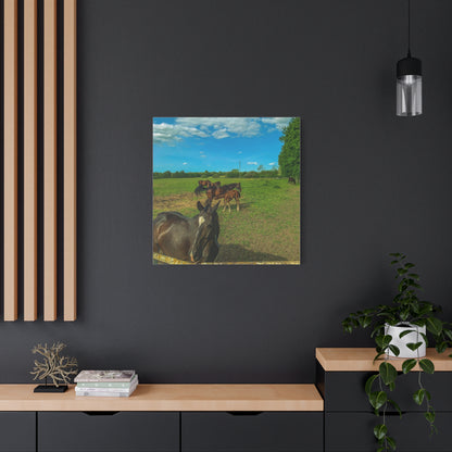 Horse Matte Canvas, Stretched, 1.25"
