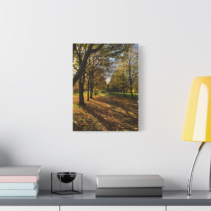 Listowel Town Park Autumn Matte Canvas, Stretched, 1.25"