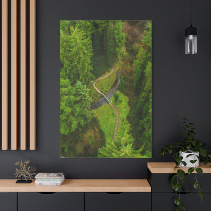 Glanageenty Forest Matte Canvas, Stretched, 1.25"