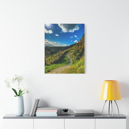 Glanageenty Forest Trail Matte Canvas, Stretched, 1.25"