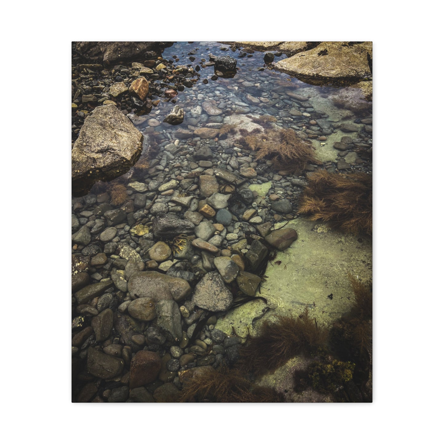 Rocks Matte Canvas, Stretched, 1.25"