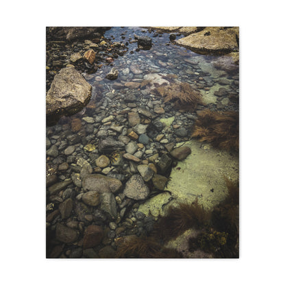 Rocks Matte Canvas, Stretched, 1.25"