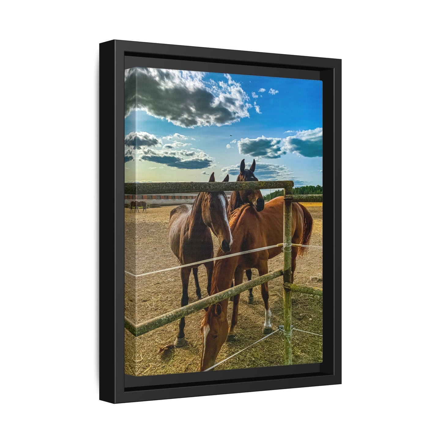 Horses Matte Canvas, Framed (Multi-color)