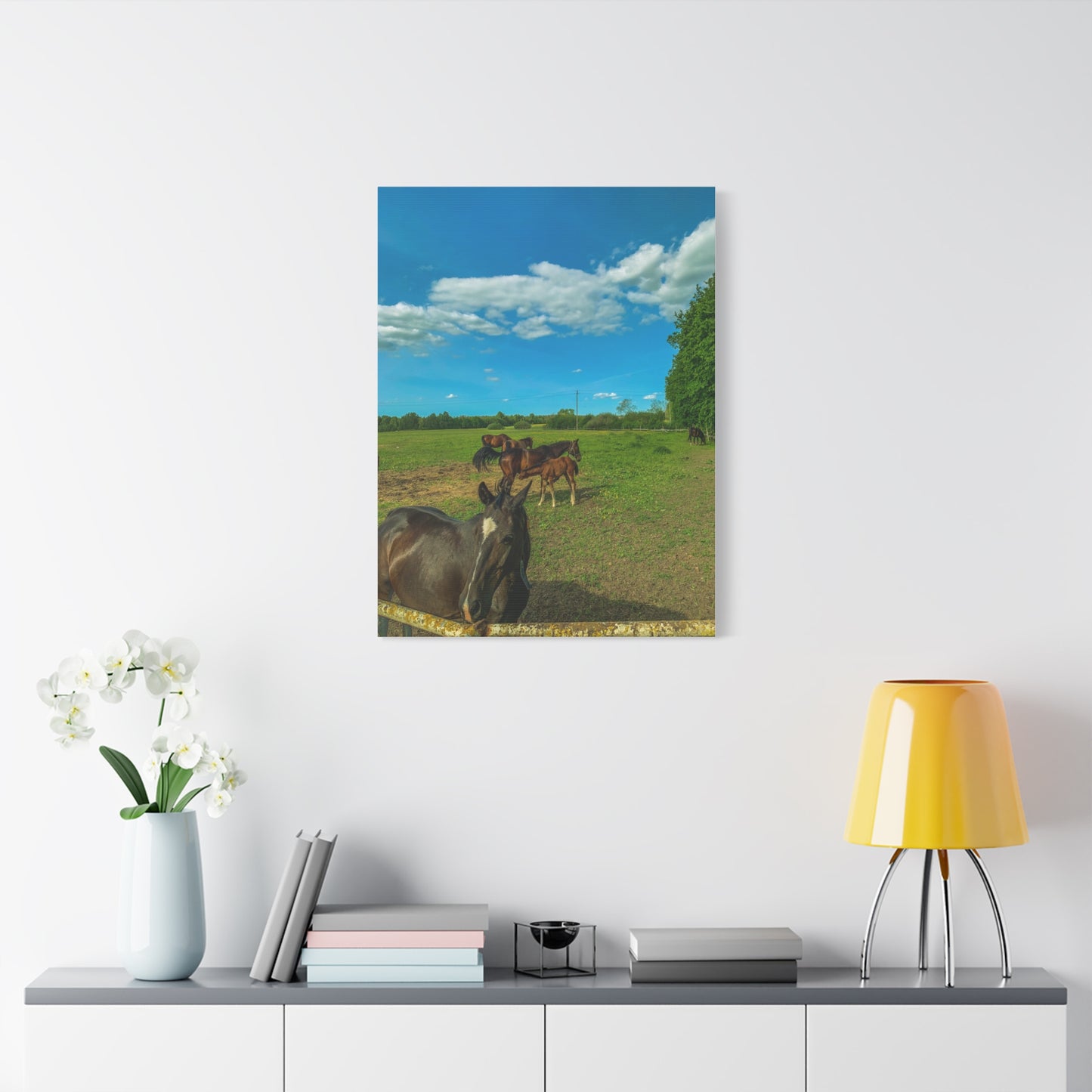 Horse Matte Canvas, Stretched, 1.25"