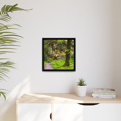 Torc Trail Matte Canvas, Framed (Multi-color)