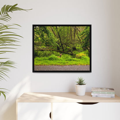 Deer in Ditch Matte Canvas, Framed (Multi-color)